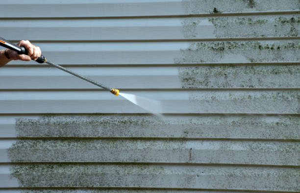 Best Home Mold Removal  in Calhoun City, MS